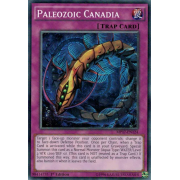 MP17-EN124 Paleozoic Canadia Commune