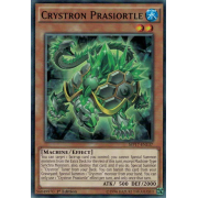 MP17-EN137 Crystron Prasiortle Commune