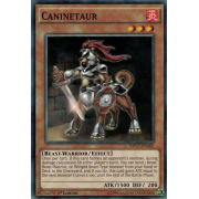 MP17-EN165 Caninetaur Commune