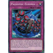 MP17-EN168 Paleozoic Eldonia Commune