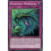 MP17-EN170 Paleozoic Marrella Commune