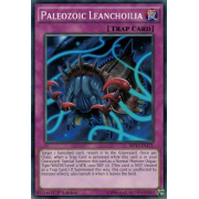 MP17-EN171 Paleozoic Leanchoilia Commune