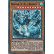 LEDU-FR036 Dragon de l'Eau Rassemblé Super Rare