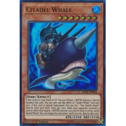 LEDU-EN016 Citadel Whale Ultra Rare