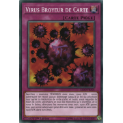 LEDD-FRA31 Virus Broyeur de Carte Commune