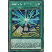 LEDD-FRB17 Fusion du Futur Commune