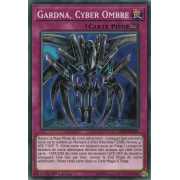 LEDD-FRB21 Gardna, Cyber Ombre Commune