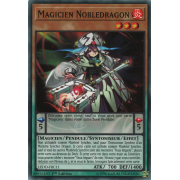 LEDD-FRC11 Magicien Nobledragon Commune