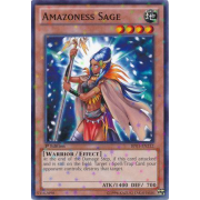 Amazoness Sage