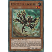 CIBR-FR019 Récepteur Krawler Commune