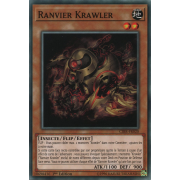 CIBR-FR020 Ranvier Krawler Commune