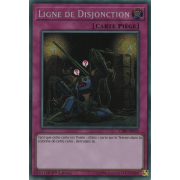 CIBR-FR078 Ligne de Disjonction Secret Rare