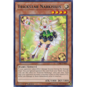 CIBR-EN004 Trickstar Narkissus Rare