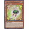 CIBR-EN004 Trickstar Narkissus Rare