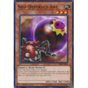 CIBR-EN035 Self-Destruct Ant Commune