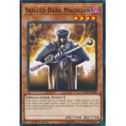 LEDD-ENA06 Skilled Dark Magician Commune