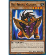 LEDD-ENA12 Big Shield Gardna Commune