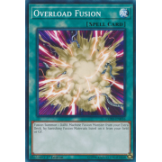 LEDD-ENB16 Overload Fusion Commune