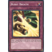 SDDC-EN037 Burst Breath Commune