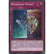 SDCL-FR032 Recodage Vivant Commune