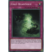 SDCL-FR037 Chat Quantique Commune