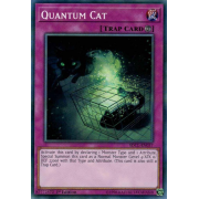 SDCL-EN037 Quantum Cat Commune