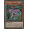 SPWA-FR003 Six Samouraïs Secrets - Hatsume Secret Rare