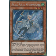 SPWA-FR031 Nuage, Peintre Météorologique Secret Rare