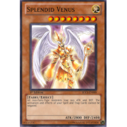 SDLS-EN009 Splendid Venus Commune