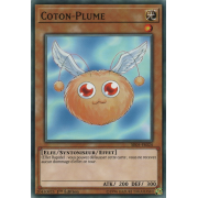 SR05-FR024 Coton-Plume Commune