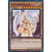 SR05-EN012 Splendid Venus Commune