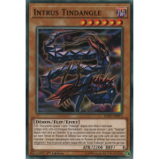 EXFO-FR013 Intrus Tindangle Commune