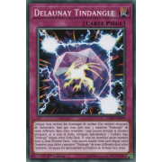 EXFO-FR069 Delaunay Tindangle Commune