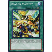 SDDL-EN022 Dragon Mastery Commune
