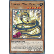 EXFO-EN006 Linkbelt Wall Dragon Commune