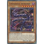 EXFO-EN013 Tindangle Intruder Commune