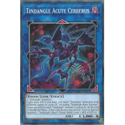 EXFO-EN045 Tindangle Acute Cerberus Commune