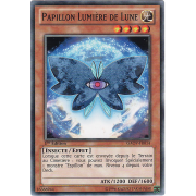 GAOV-FR014 Papillon Lumière de Lune Commune