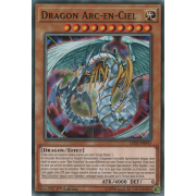 LED2-FR043 Dragon Arc-en-Ciel Commune