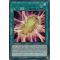 LED2-EN009 Cocoon of Ultra Evolution Ultra Rare