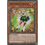 SP18-FR023 Narcibise Farstar Commune