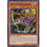 SP18-EN007 Capacitor Stalker Commune