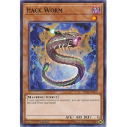 SP18-EN015 Hack Worm Commune