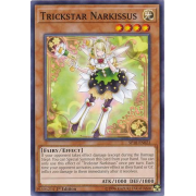 SP18-EN023 Trickstar Narkissus Commune