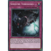 SR06-FR040 Sinistre Yorishiro Commune