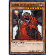 SR06-EN005 Lich Lord, King of the Underworld Commune