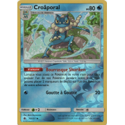 SL06_23/131 Croâporal Inverse