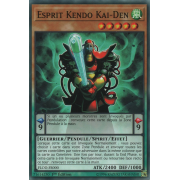 FLOD-FR000 Esprit Kendo Kai-Den Commune