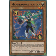 FLOD-FR007 Mandragore Farstar Commune