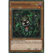 FLOD-FR029 Transefamilier Commune